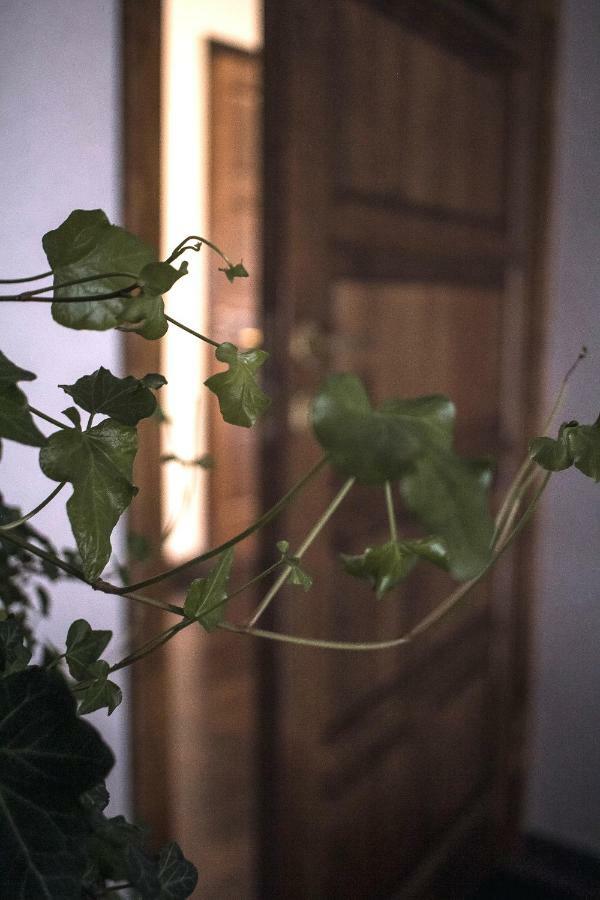 Centra Apartamenti Apartment Ventspils